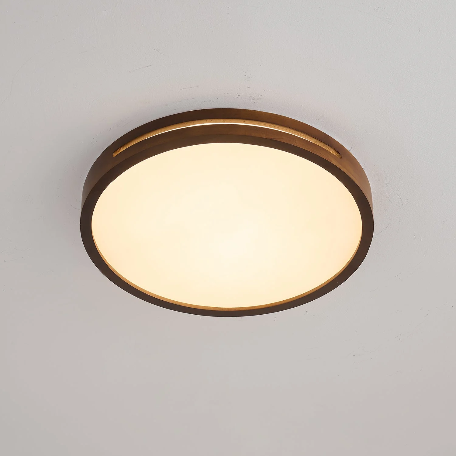Vizoros Modern Minimalist Ceiling Light - Image 5