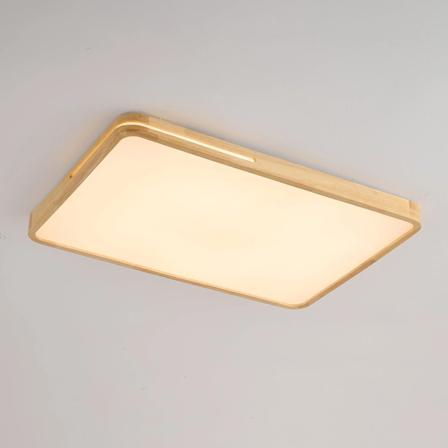 Vizoros Modern Minimalist Ceiling Light - Image 6
