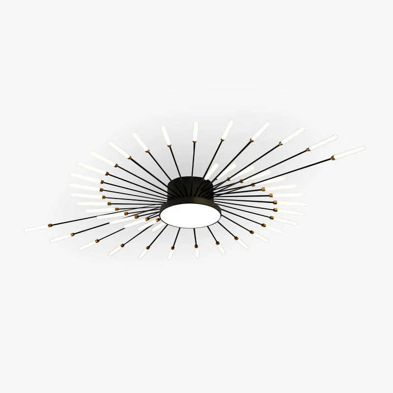 Wesley Modern Home Decoration Fireworks LED Ceiling Light