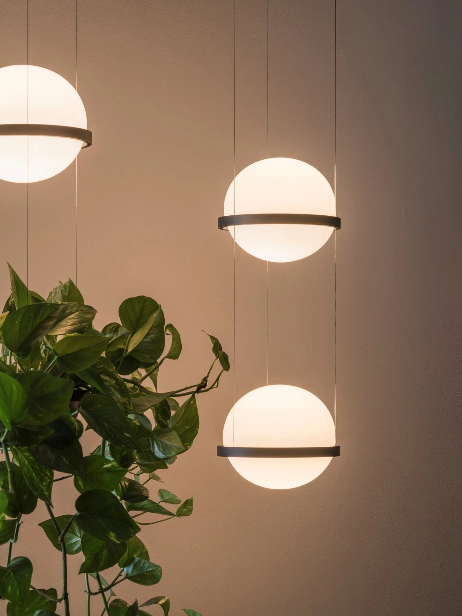 Xenith Contemporary Pendant Lamp - Image 13