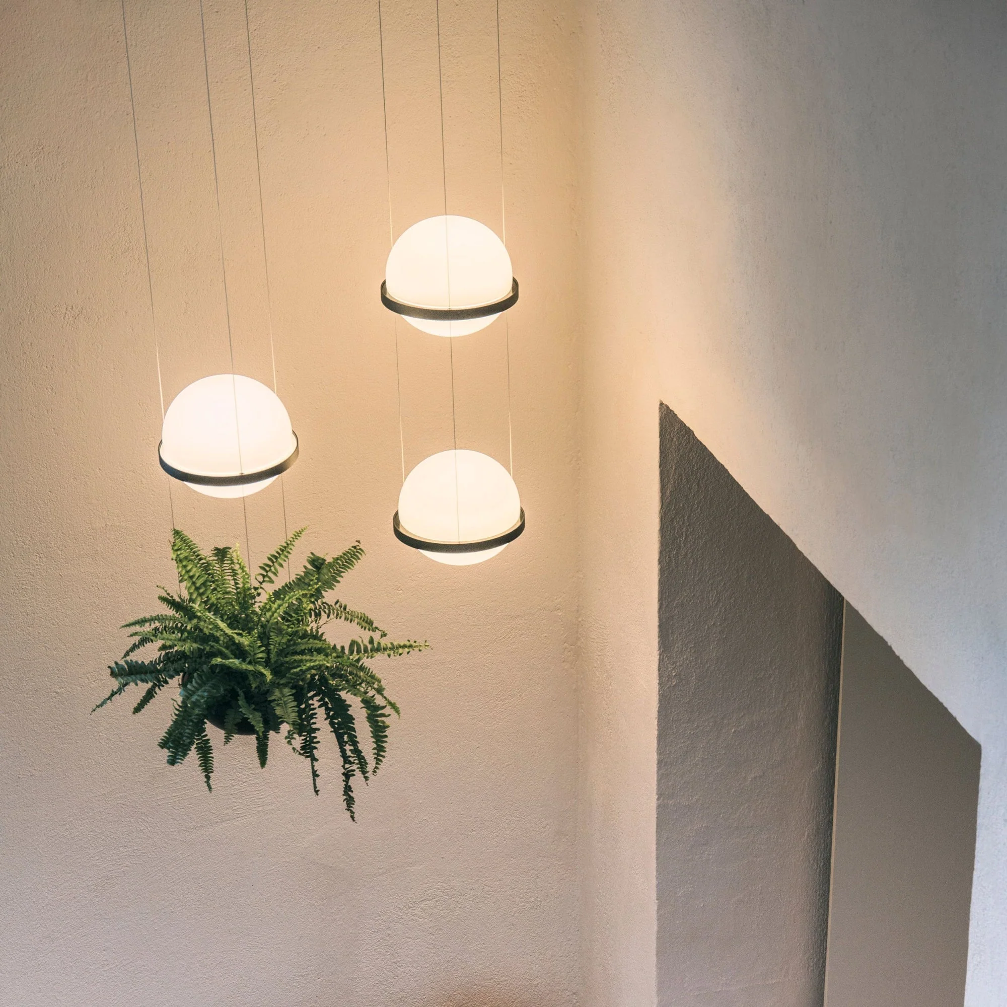 Xenith Contemporary Pendant Lamp - Image 20