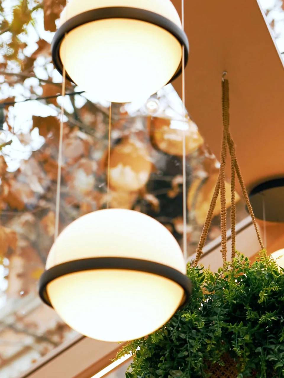 Xenith Contemporary Pendant Lamp - Image 37