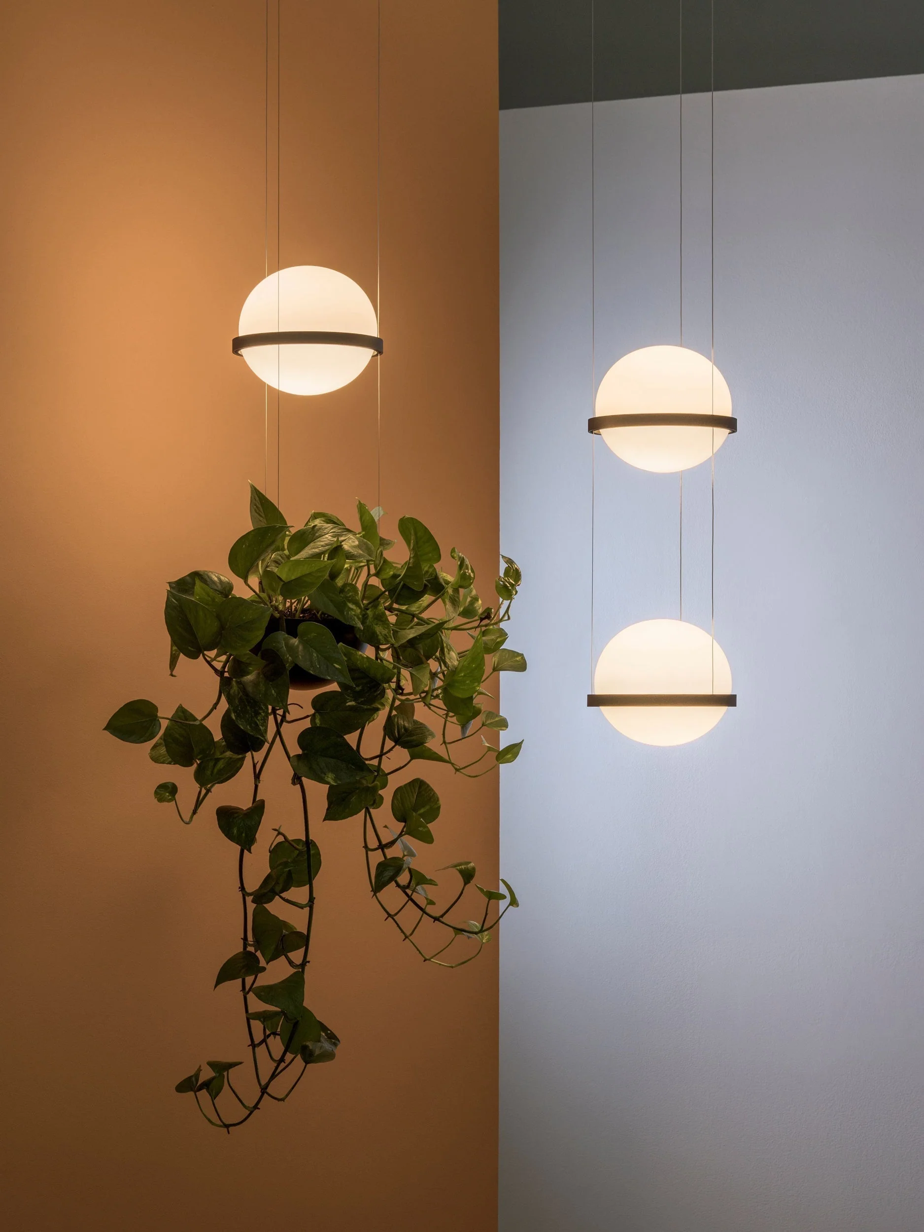 Xenith Contemporary Pendant Lamp - Image 51